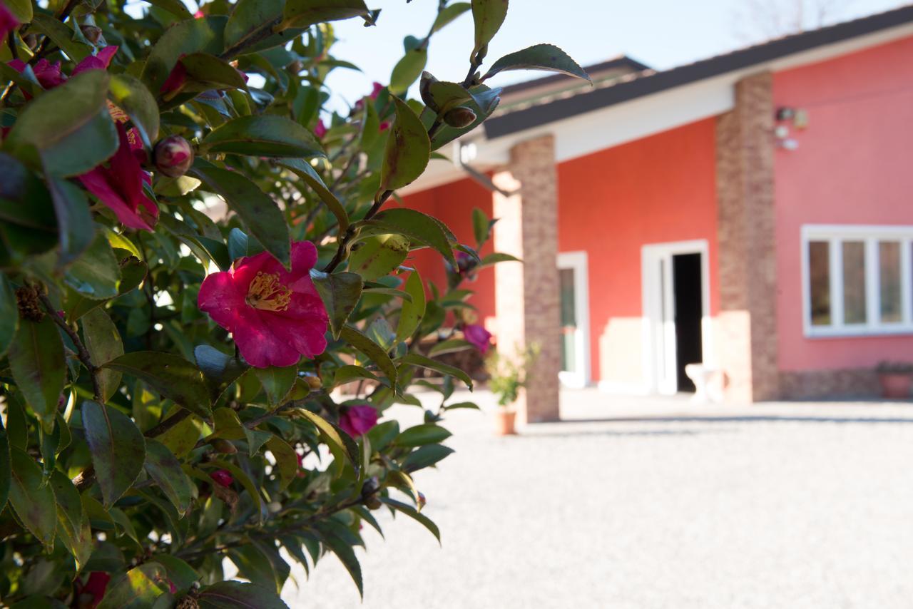 Tenuta La Vigna Malgesso Luaran gambar
